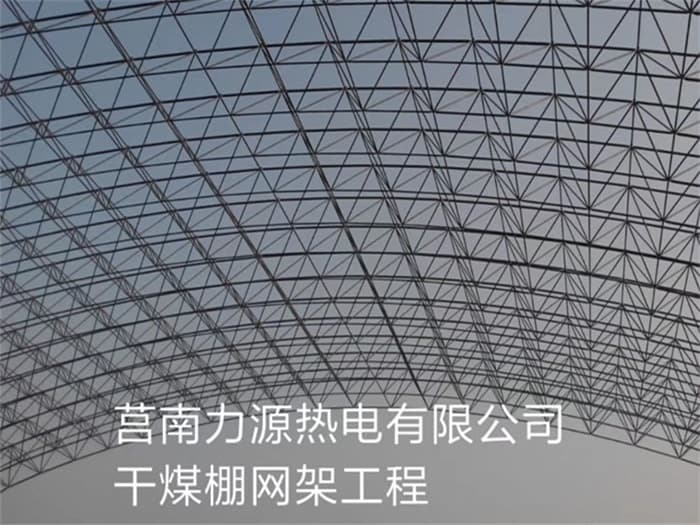 霸州力源热电有限公司干煤棚网架工程